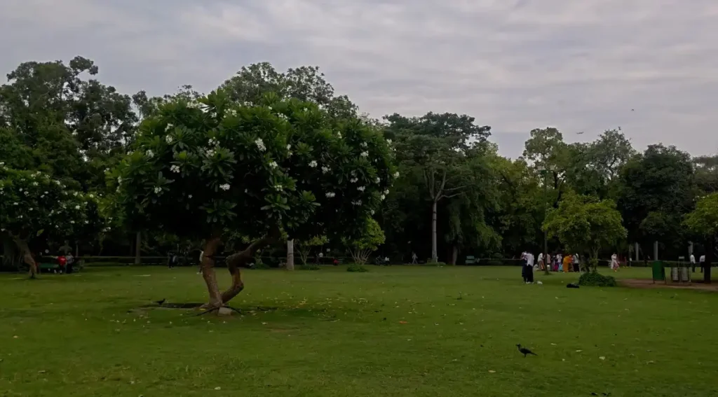 Garden_of_lodhi_garden-2