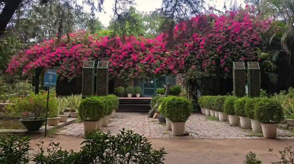 flowers_in_lodhi_garden